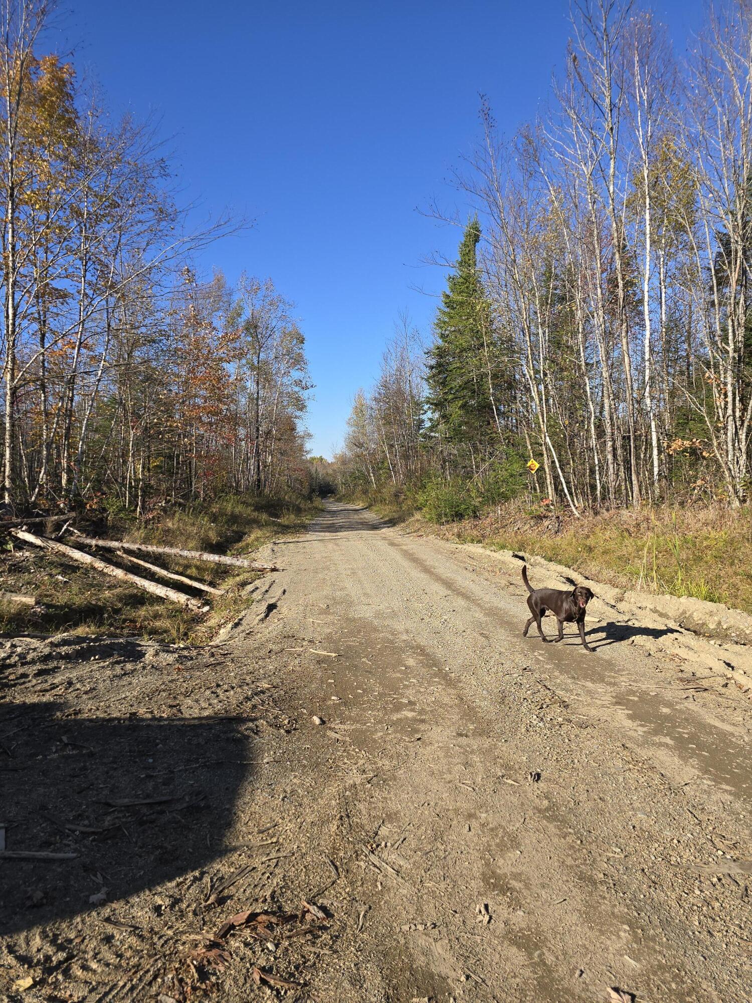 20-ac Shep Road Springfield, ME 04487 - Photo 2 of 9 20241017_150718