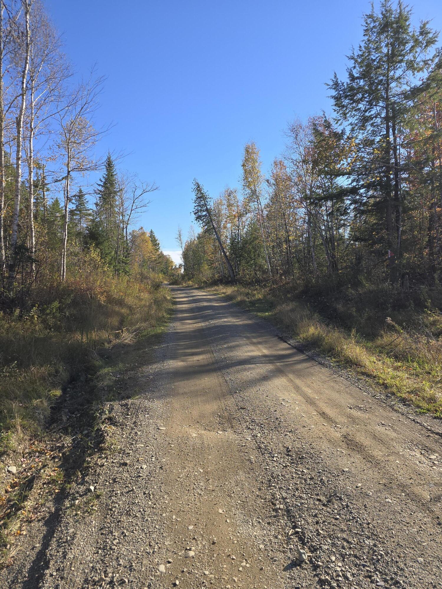 20-ac Shep Road Springfield, ME 04487 - Photo 4 of 9 20241017_150734