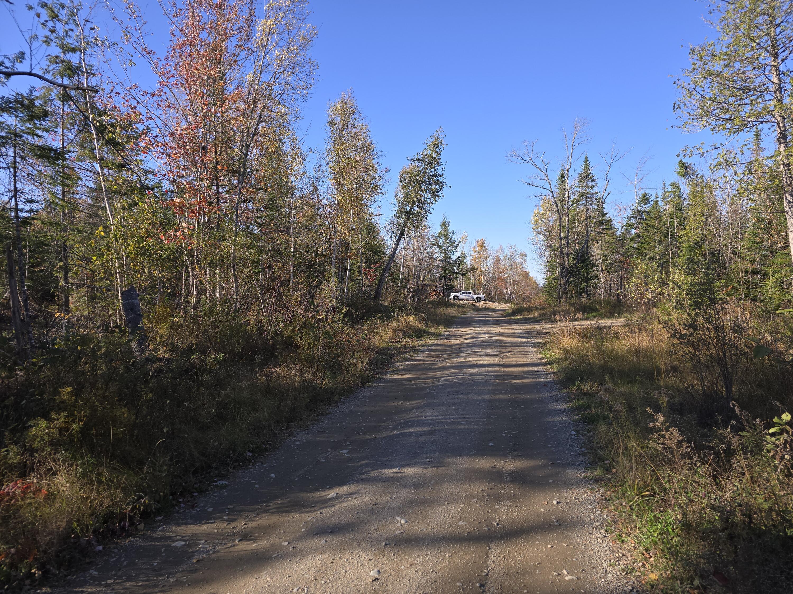20-ac Shep Road Springfield, ME 04487 - Photo 7 of 9 20241017_153232