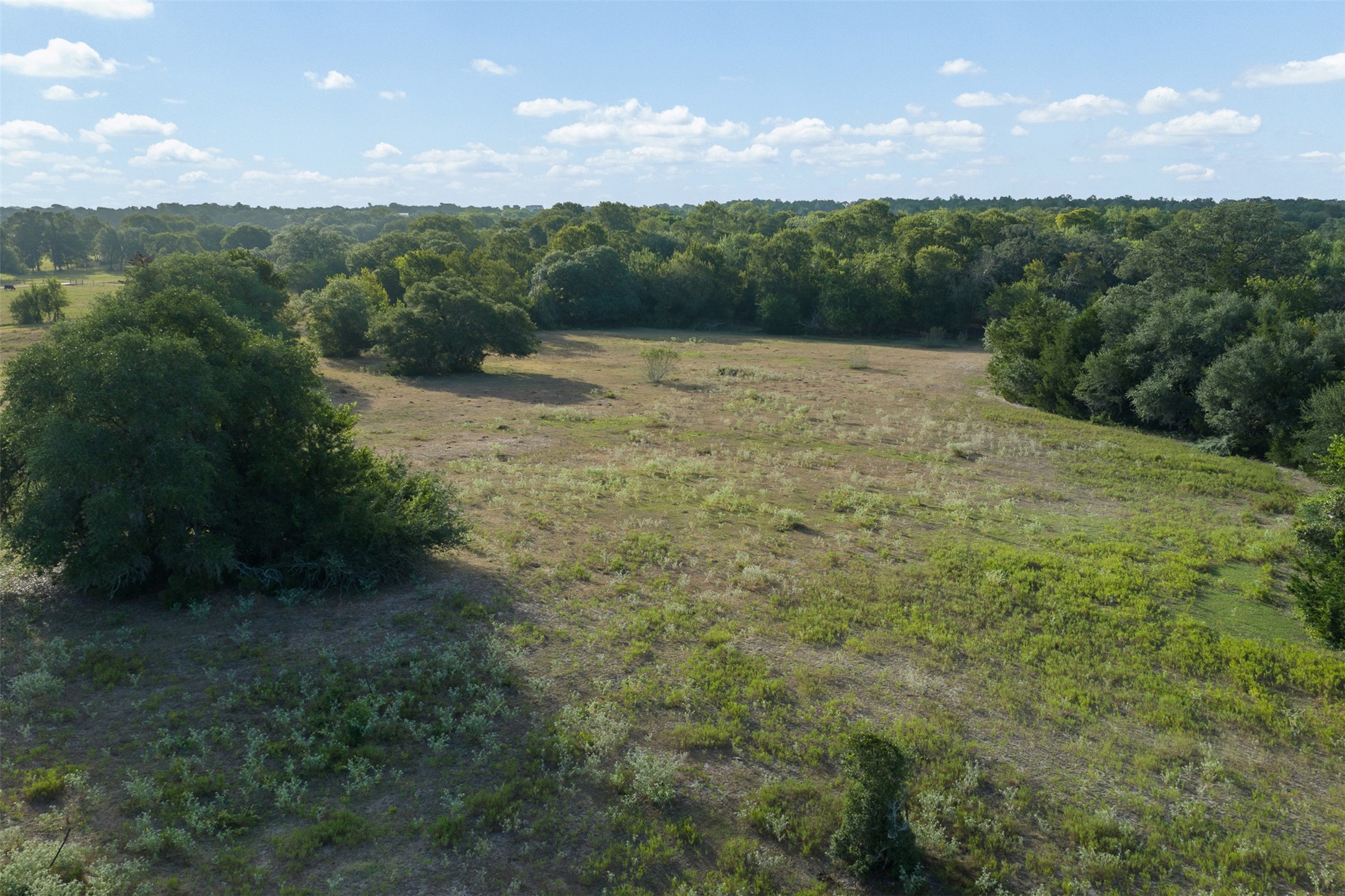 444 North Nassau Road Round Top, TX 78954 - Photo 8 of 19 Gallery Image 8