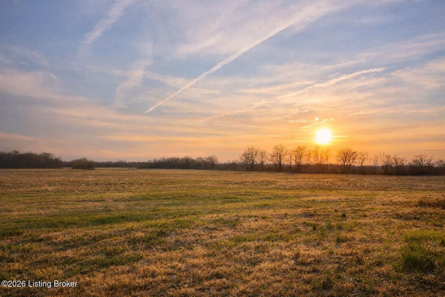 1253 Todd Road Murray, KY 42071 - Photo 2 of 5 View