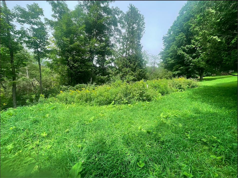 176 Osborne Road Barre Town, VT 05641 - Photo 12 of 15