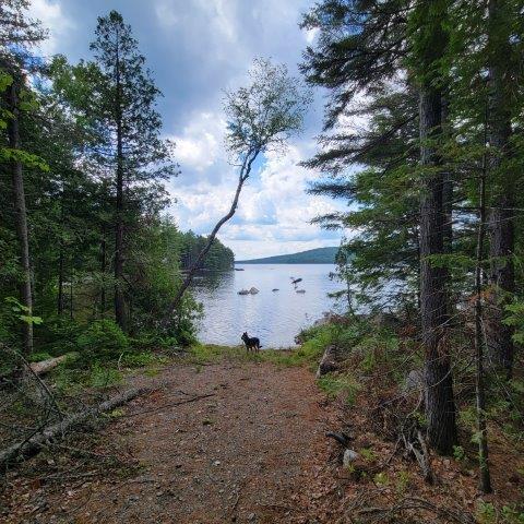 T4 Wadleigh Pond Road Millinocket, ME 04462 - Photo 24 of 38 Dog friendly area