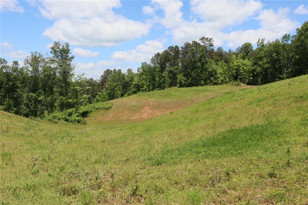 0 Parksbrook Road Ellijay, GA 30540 - Photo 8 of 67