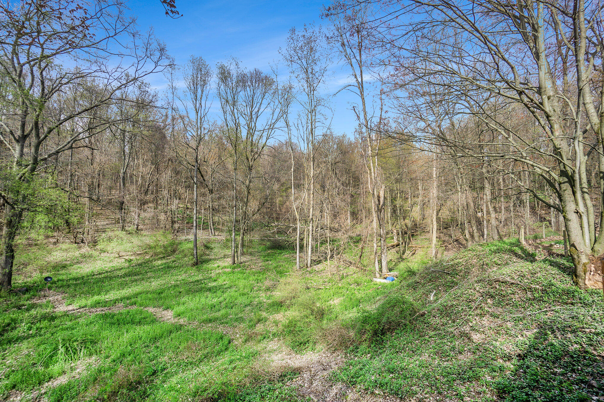 14661 Kane Road Plainwell, MI 49080 - Photo 23 of 25 rolling hills