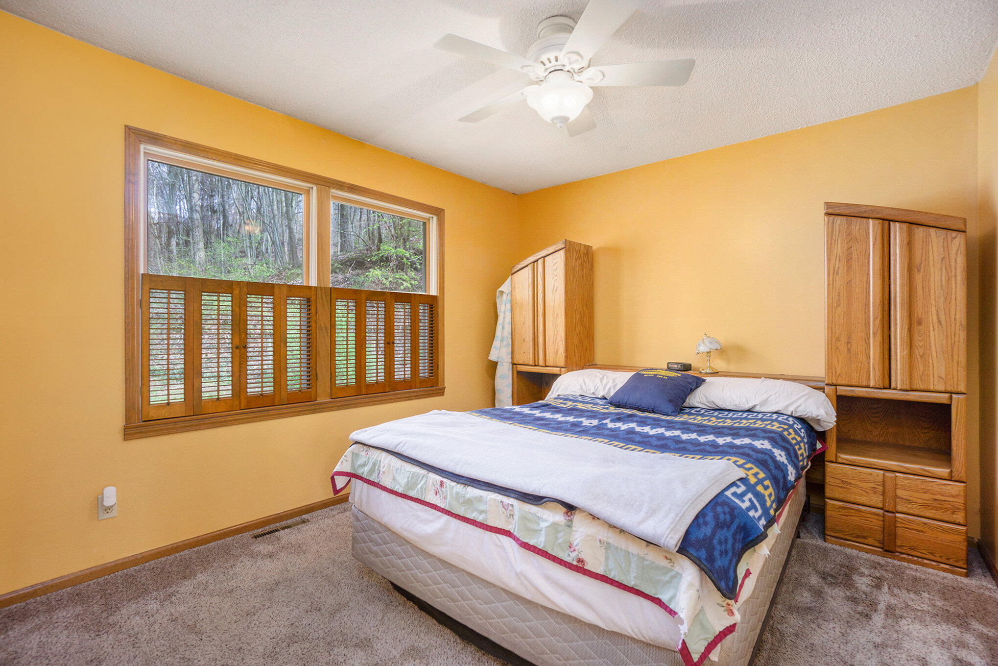 14661 Kane Road Plainwell, MI 49080 - Photo 8 of 25 Primary bedroom