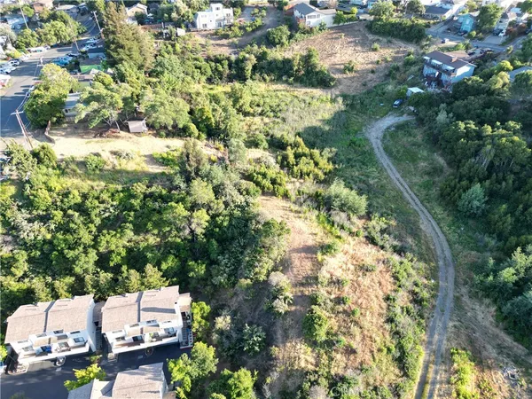 a street view with yard