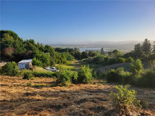 a view of a lake and a yard