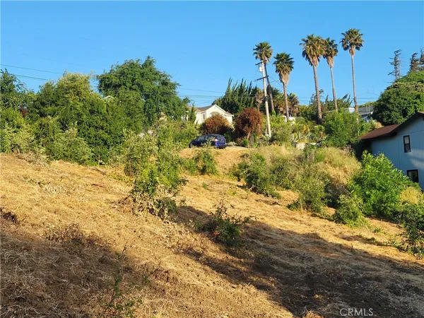 a view of a road with a yard