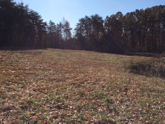 201 Goodhope Church Road Eubank, KY 42567 - Photo 26 of 28 thumbnail (7)