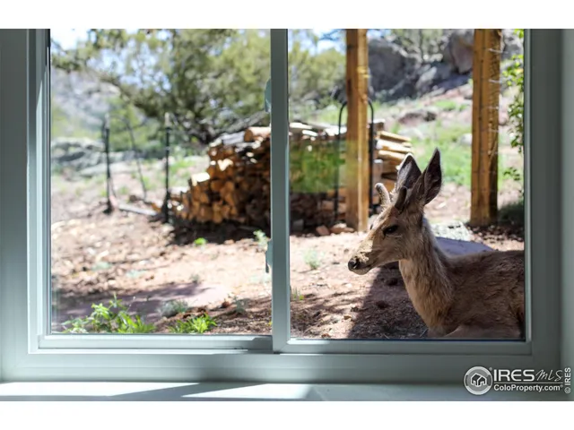 $1,049,000 | 187 Wichita Road, Lyons, CO 80540