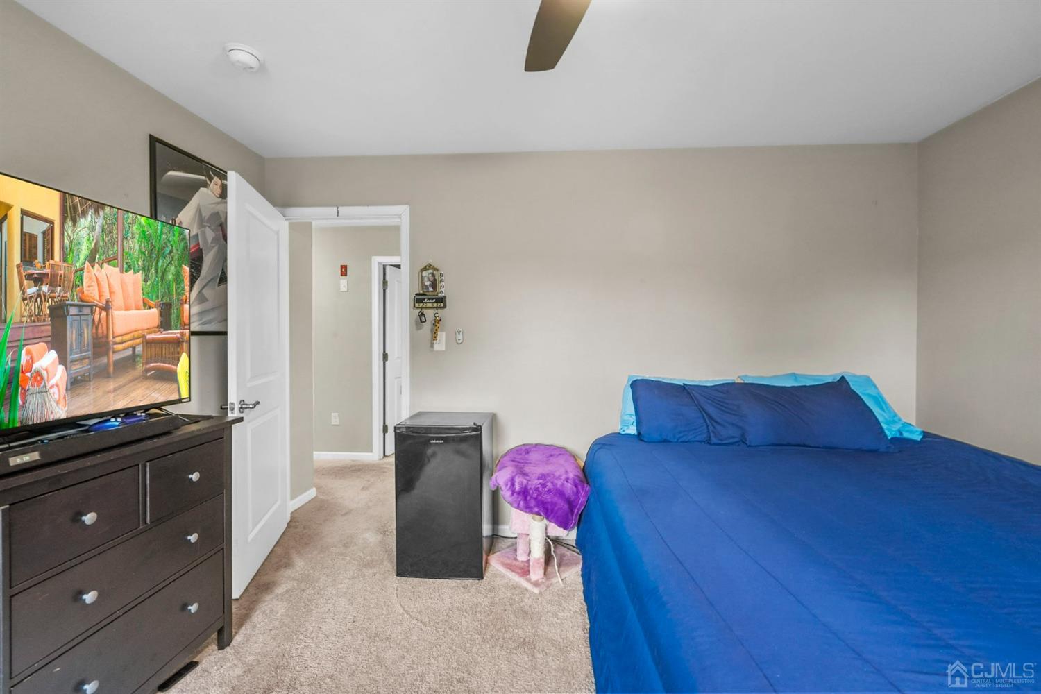 14 Baxter Road Edison, NJ 08817 - Photo 28 of 39 a living room with furniture and a flat screen tv