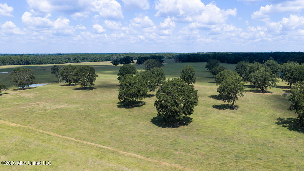 164 Lott Cemetary Road Perkinston, MS 39573 - Photo 41 of 68 pic-11