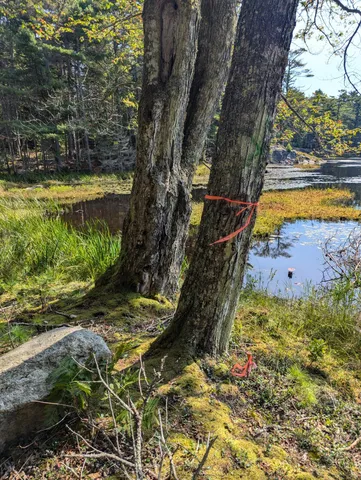 $260,000 | 0 Route, Westport Island, ME 04578
