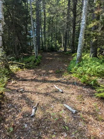 $260,000 | 0 Route, Westport Island, ME 04578