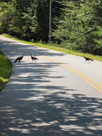 $260,000 | 0 Route, Westport Island, ME 04578