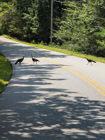 $260,000 | 0 Route, Westport Island, ME 04578