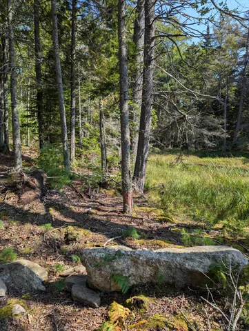 $260,000 | 0 Route, Westport Island, ME 04578