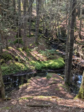 $260,000 | 0 Route, Westport Island, ME 04578