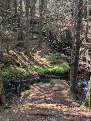 $260,000 | 0 Route, Westport Island, ME 04578