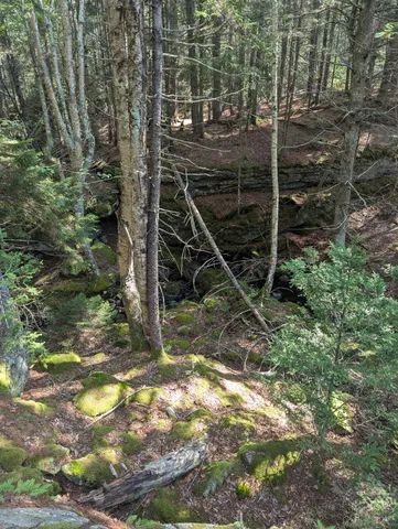 $260,000 | 0 Route, Westport Island, ME 04578