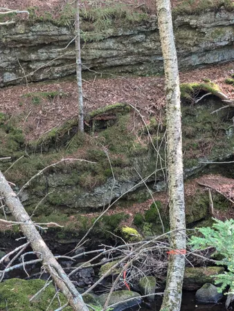 $260,000 | 0 Route, Westport Island, ME 04578