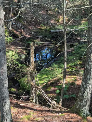 $260,000 | 0 Route, Westport Island, ME 04578