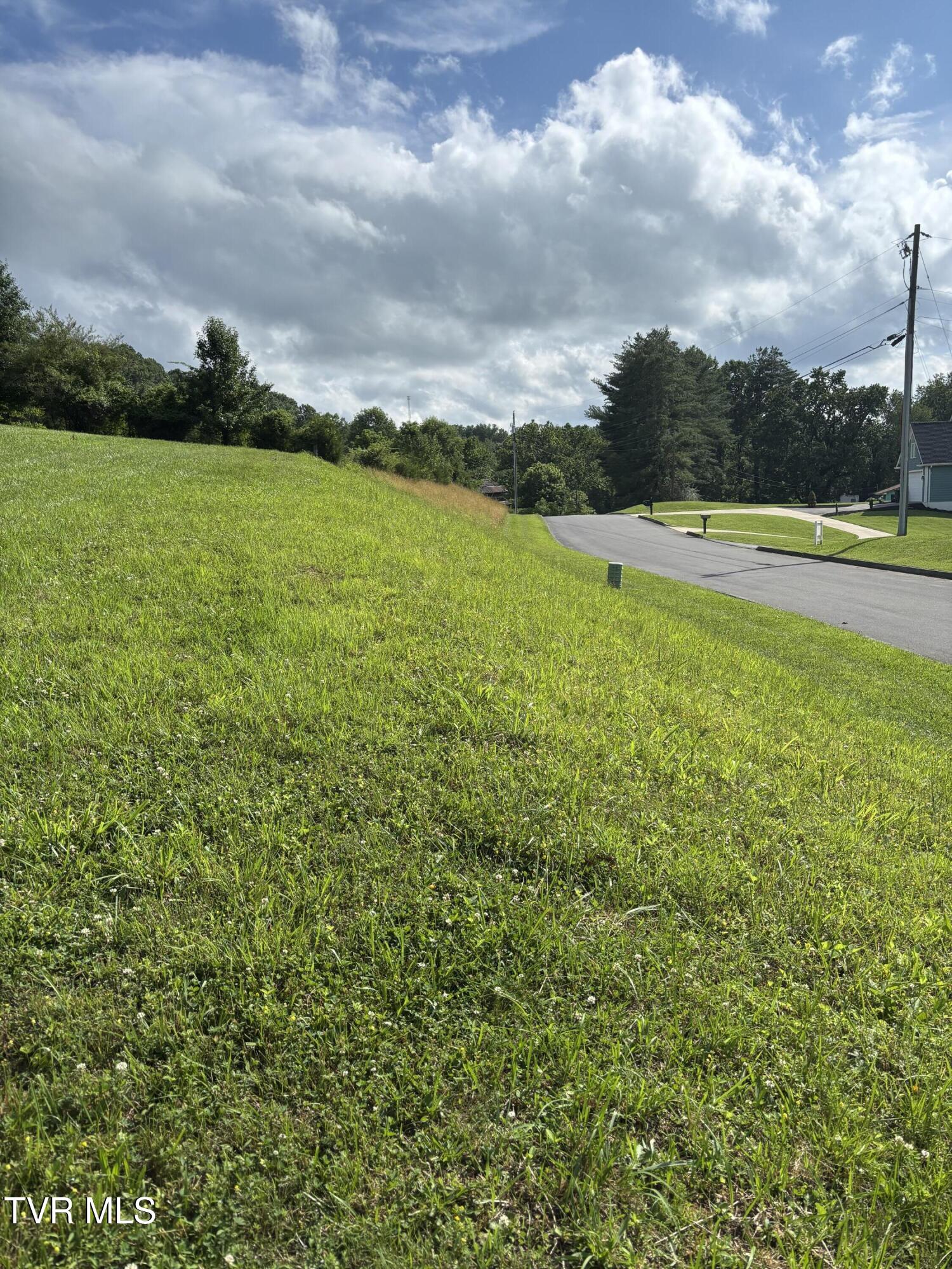 1095 Reynolds Road, Unit 29 Piney Flats, TN 37686 - Photo 5 of 13 IMG_7160 - Copy