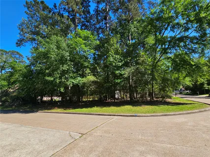 $45,000 | 2846 Whitman Drive, Montgomery, TX 77356
