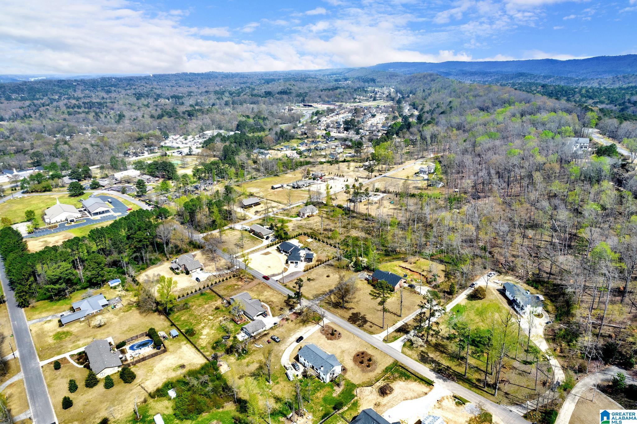5537 Timber Hill Road Birmingham, AL 35242 - Photo 52 of 54