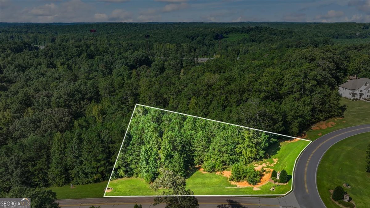 701 River Overlook Forsyth, GA 31029 - Photo 4 of 7 a view of a yard