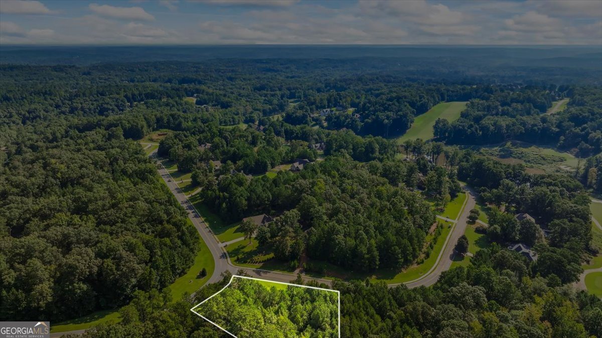 701 River Overlook Forsyth, GA 31029 - Photo 6 of 7 an aerial view of residential house with outdoor space