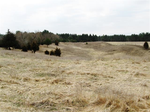 34.65-acres County Rd D, Unit PAR# 00821101002 02 Almond, WI 54909 - Photo 1 of 1