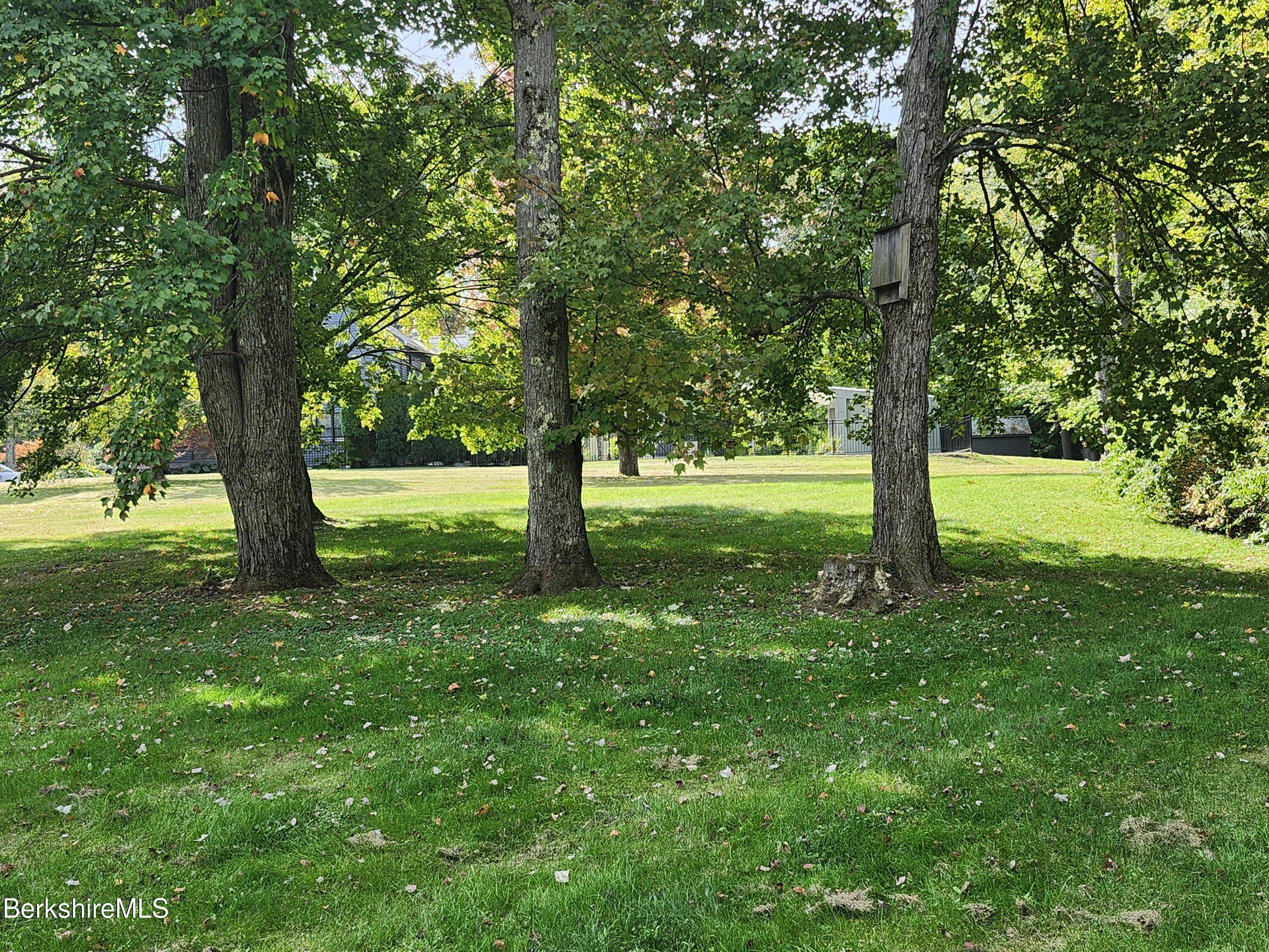 10 Lillybrook Road Pittsfield, MA 01201 - Photo 36 of 91 a view of a yard with a tree