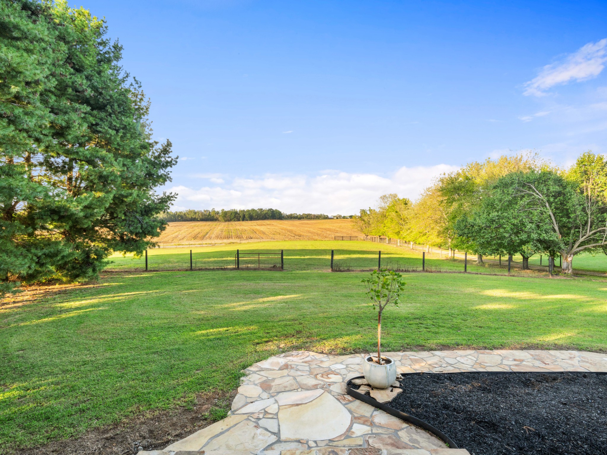 5439 Minnis Road Springfield, TN 37172 - Photo 33 of 43 a view of a park with large trees