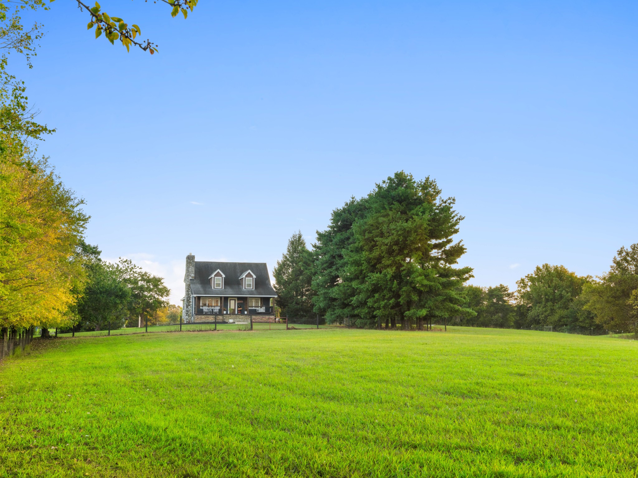 5439 Minnis Road Springfield, TN 37172 - Photo 39 of 43 a view of a big yard with a palm tree
