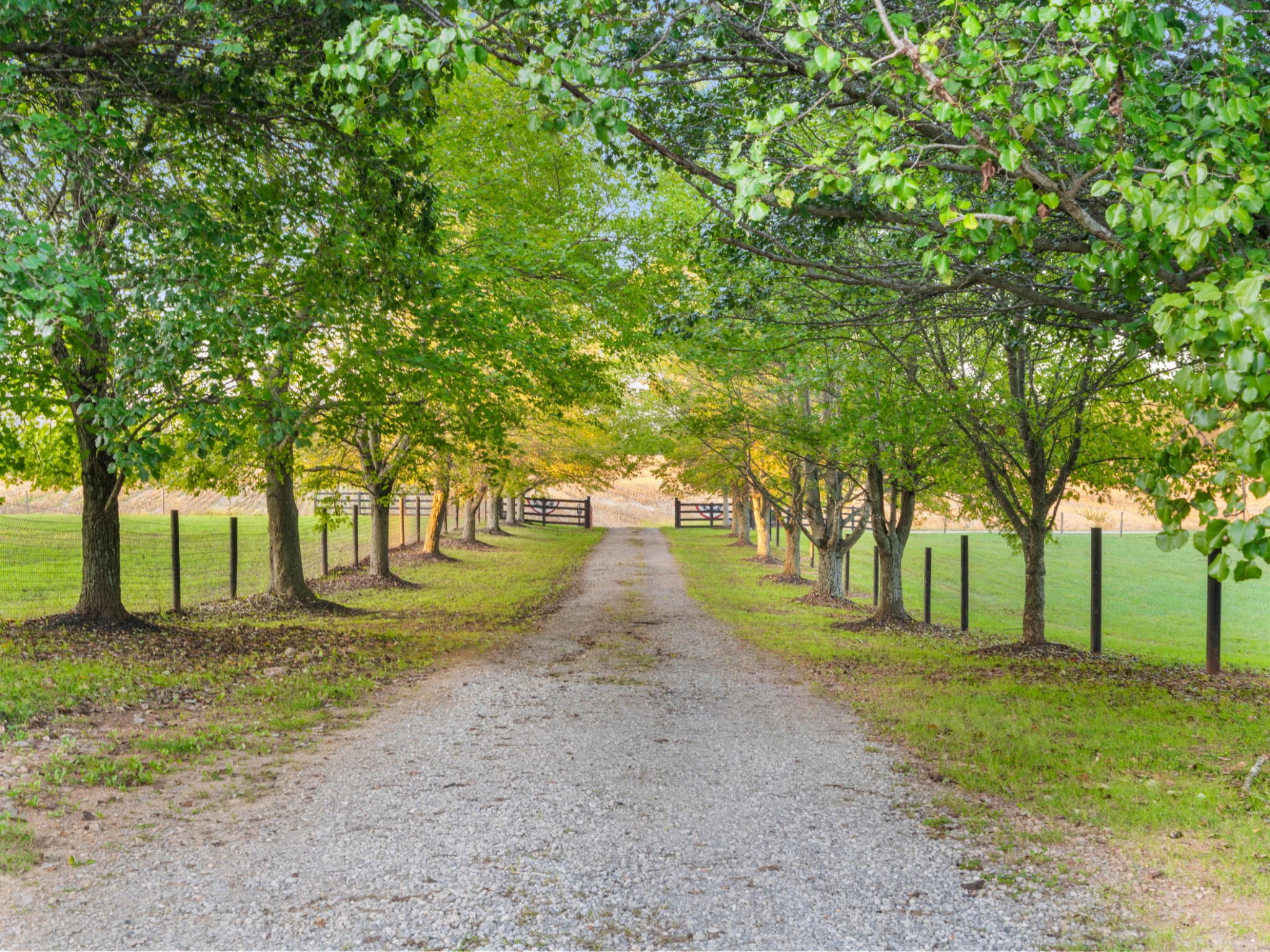 5439 Minnis Road Springfield, TN 37172 - Photo 41 of 43 a view of road with trees
