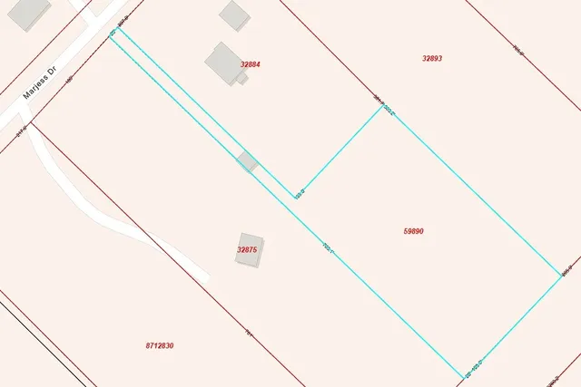 a view of a forest with trees in the background