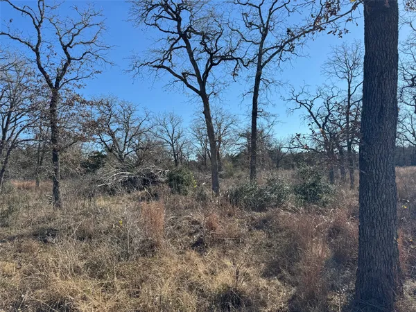 $150,000 | Tbd Marjess Drive, Cedar Creek, TX 78612