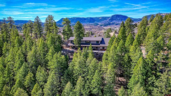 $1,199,000 | 133 West Arbol Park Drive, Chromo, CO 81128