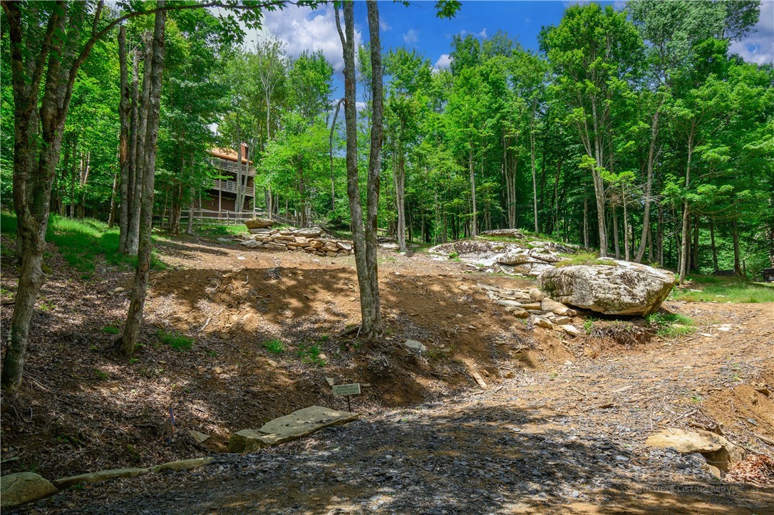108 Windridge Road Beech Mountain, NC 28604 - Photo 36 of 49