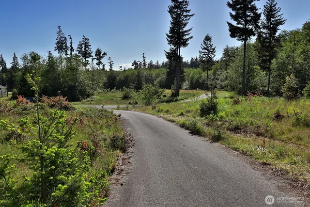 a view of a lake and green valley