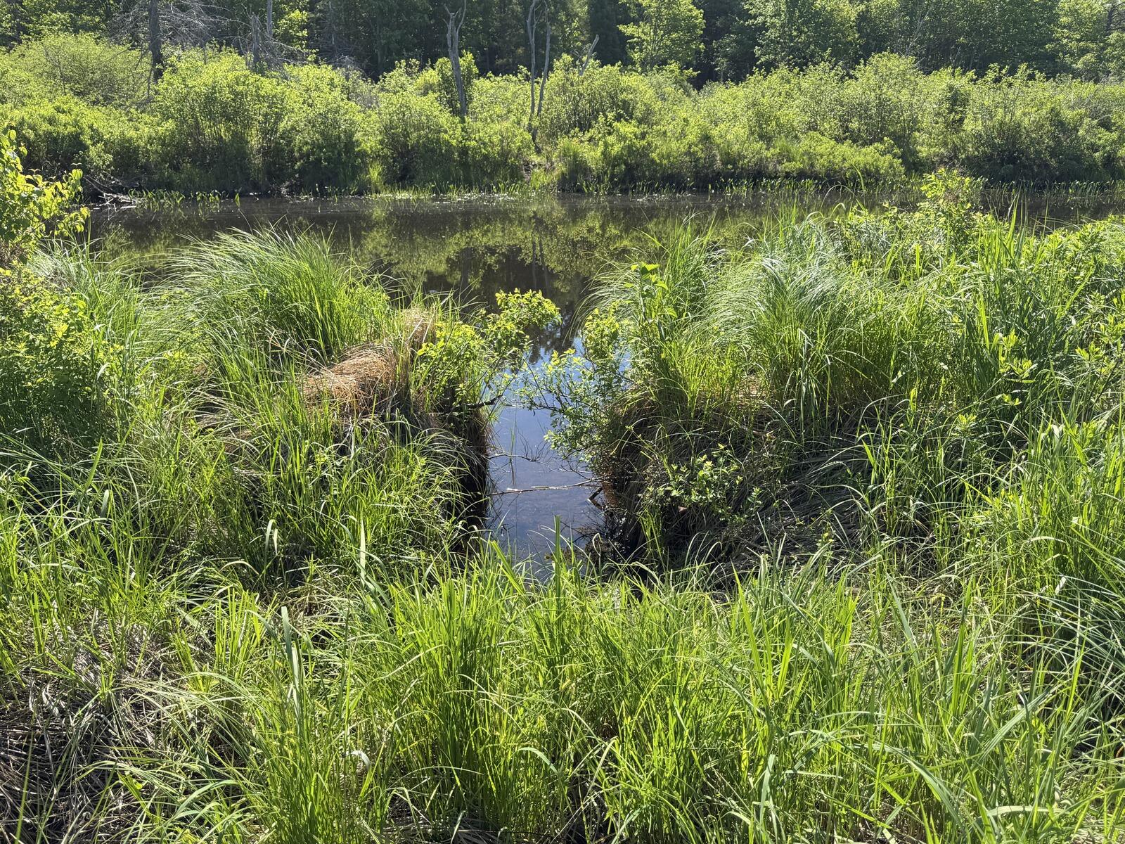 Lot 2 Kingfield Road New Vineyard, ME 04956 - Photo 7 of 9