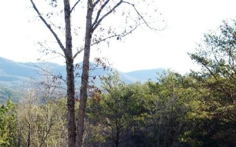 Lot 6 Willow Ridge Tr Warne, NC 28909 - Photo 1 of 1 Main View