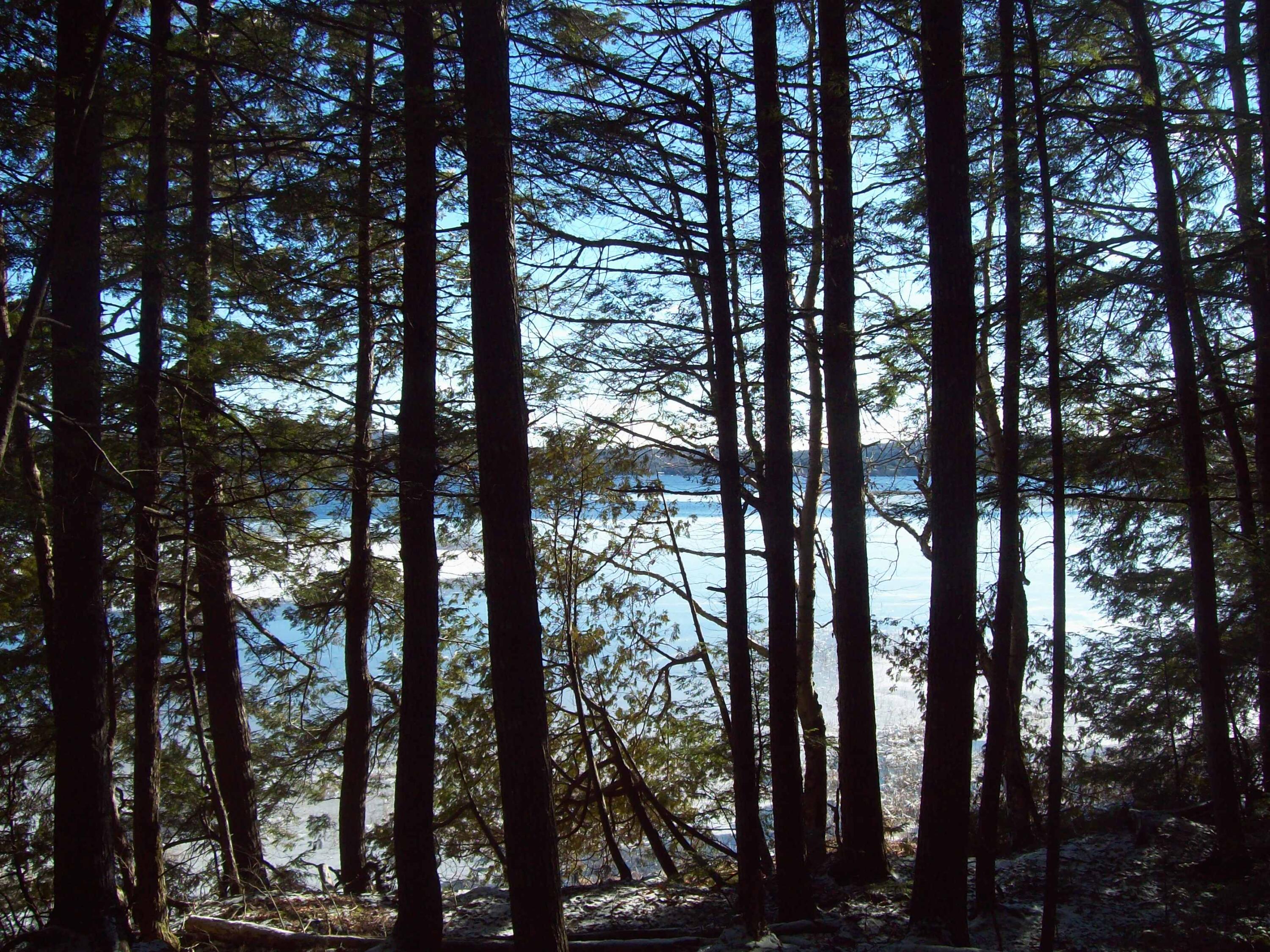 Tbd West Madagascal Road Burlington, ME 04417 - Photo 5 of 10 100_2464