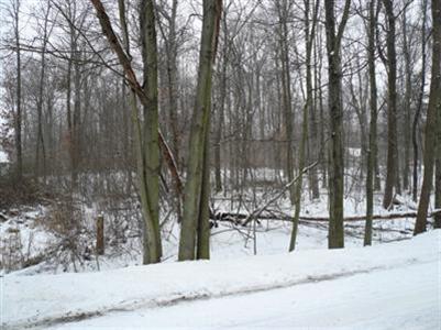 6960 Johnson Road Coloma, MI 49038 - Photo 3 of 3 Additional Photo