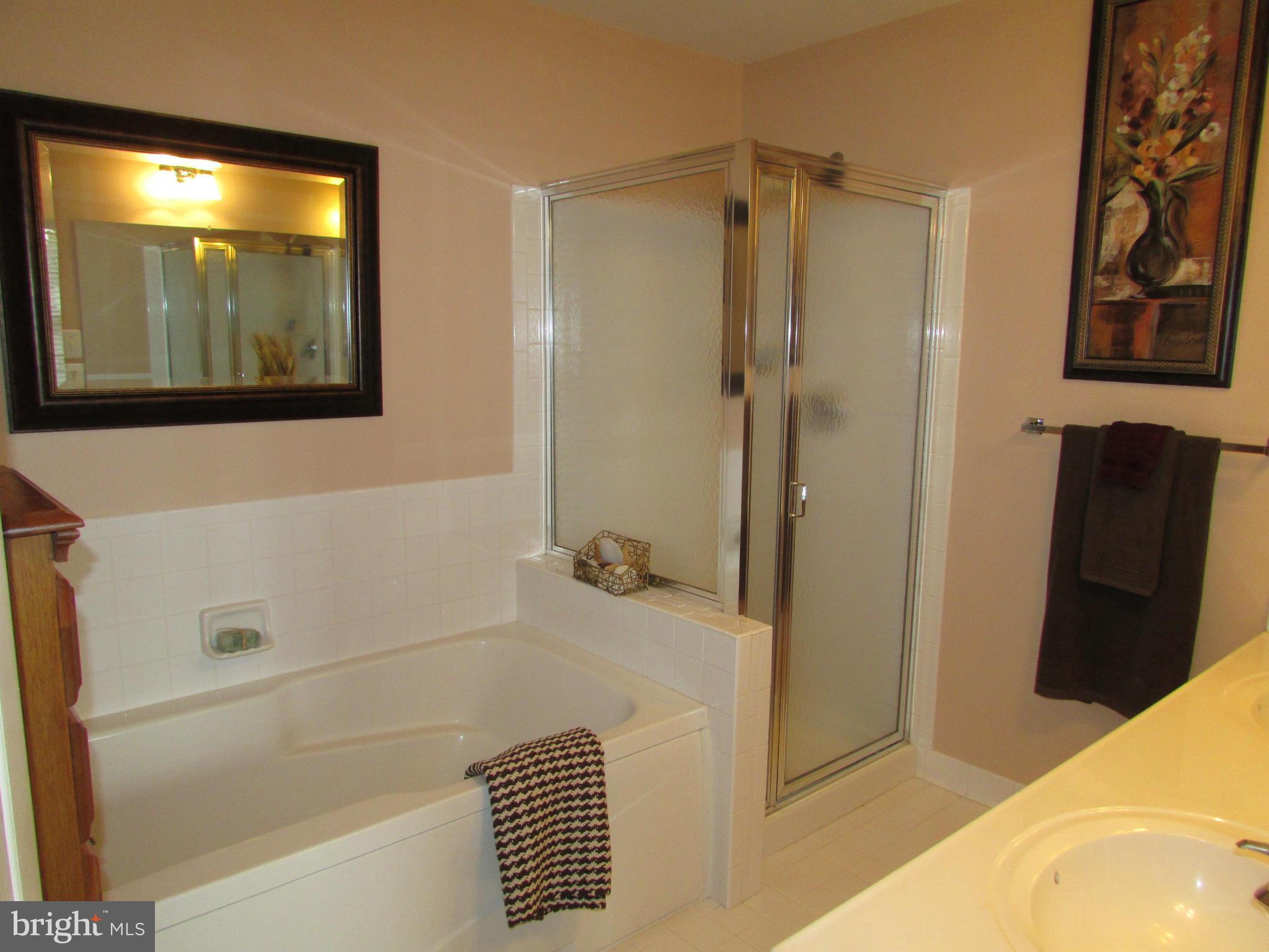 2608 Mill Race Road Frederick, MD 21701 - Photo 17 of 30 Bath (Master)