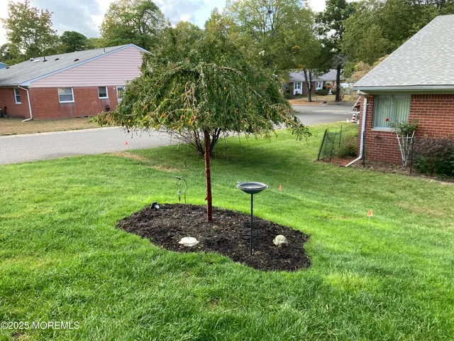 a view of a backyard with a garden