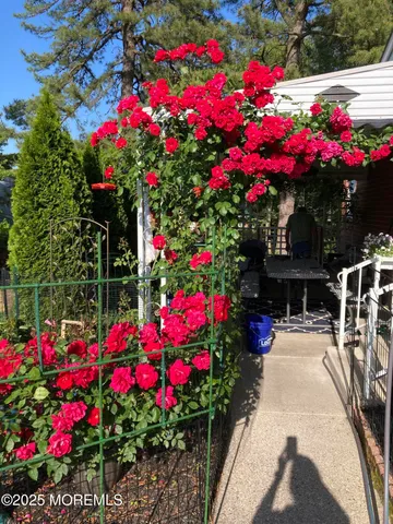 a view of a flower in a flower in a yard