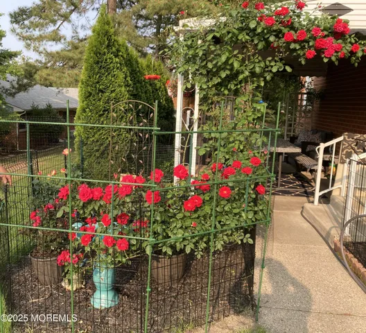 a view of a potted flower in a yard